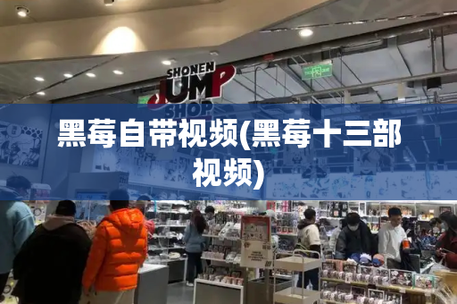 黑莓自带视频(黑莓十三部视频)-第1张图片-星选测评