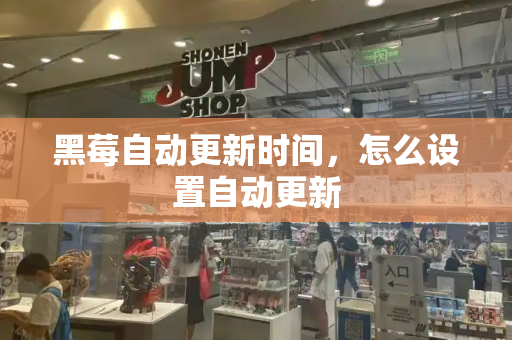 黑莓自动更新时间，怎么设置自动更新-第1张图片-星选测评