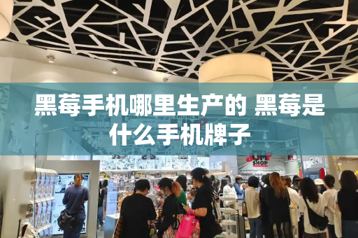 黑莓手机哪里生产的 黑莓是什么手机牌子-第1张图片-星选测评