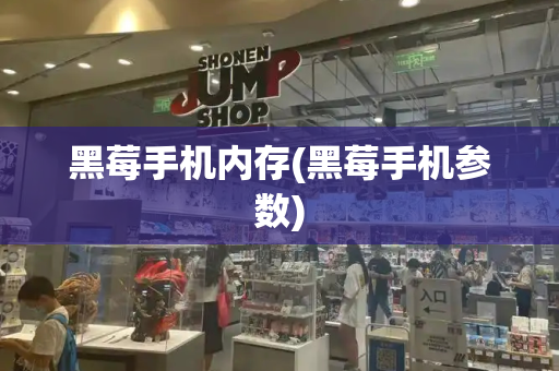 黑莓手机内存(黑莓手机参数)-第1张图片-星选测评