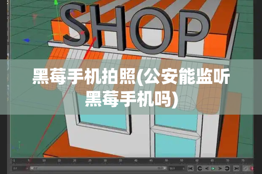 黑莓手机拍照(公安能监听黑莓手机吗)