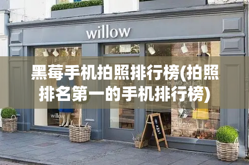 黑莓手机拍照排行榜(拍照排名第一的手机排行榜)-第1张图片-星选测评