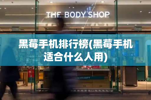 黑莓手机排行榜(黑莓手机适合什么人用)