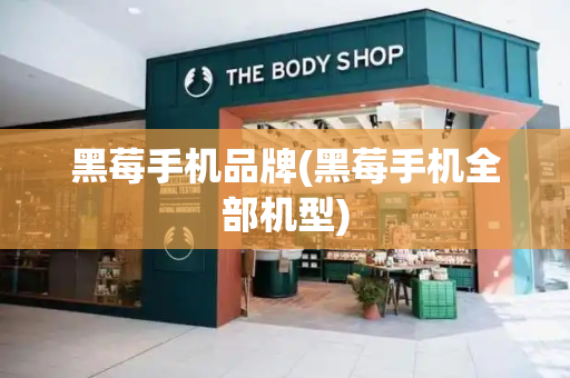 黑莓手机品牌(黑莓手机全部机型)