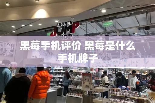 黑莓手机评价 黑莓是什么手机牌子
