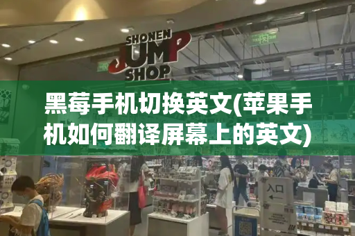 黑莓手机切换英文(苹果手机如何翻译屏幕上的英文)