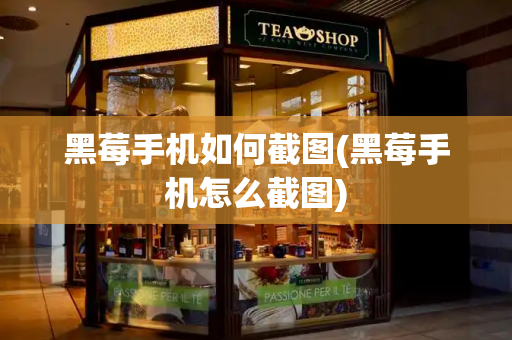 黑莓手机如何截图(黑莓手机怎么截图)-第1张图片-星选测评