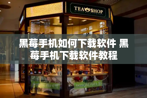黑莓手机如何下载软件 黑莓手机下载软件教程