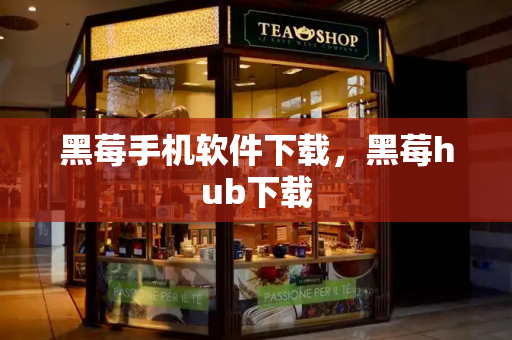 黑莓手机软件下载，黑莓hub下载