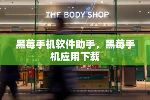 黑莓手机软件助手，黑莓手机应用下载-第1张图片-星选测评