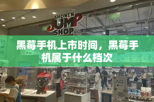 黑莓手机上市时间，黑莓手机属于什么档次