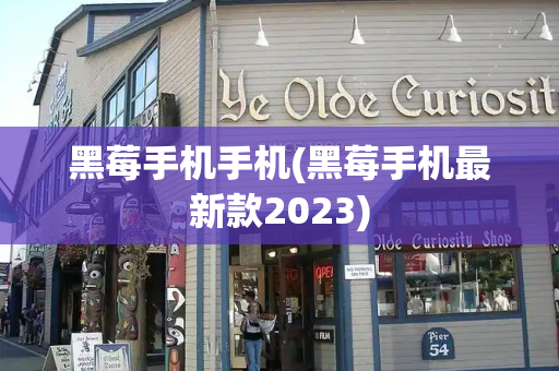 黑莓手机手机(黑莓手机最新款2023)-第1张图片-星选测评
