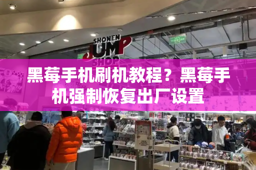 黑莓手机刷机教程？黑莓手机强制恢复出厂设置-第1张图片-星选测评