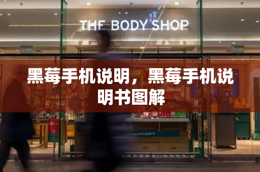 黑莓手机说明，黑莓手机说明书图解