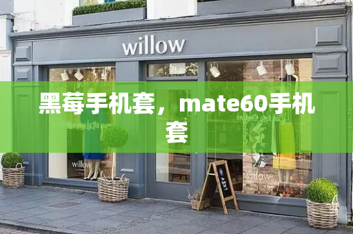 黑莓手机套，mate60手机套-第1张图片-星选测评