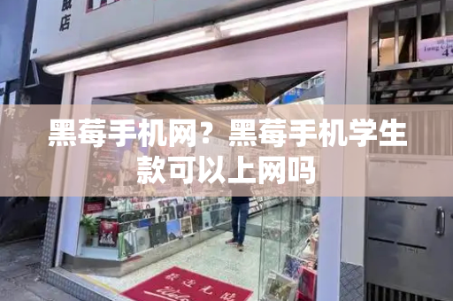 黑莓手机网？黑莓手机学生款可以上网吗-第1张图片-星选测评