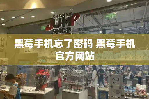 黑莓手机忘了密码 黑莓手机官方网站