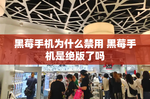 黑莓手机为什么禁用 黑莓手机是绝版了吗-第1张图片-星选测评