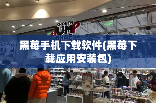 黑莓手机下载软件(黑莓下载应用安装包)
