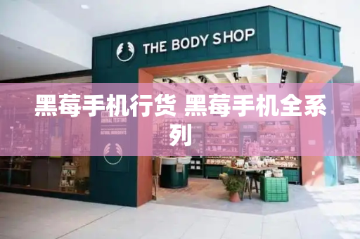 黑莓手机行货 黑莓手机全系列