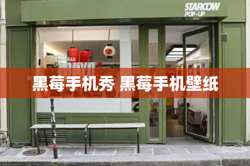 黑莓手机秀 黑莓手机壁纸