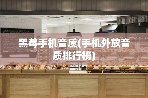 黑莓手机音质(手机外放音质排行榜)-第1张图片-星选测评
