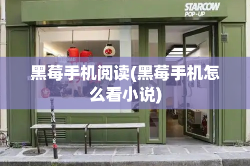 黑莓手机阅读(黑莓手机怎么看小说)-第1张图片-星选测评