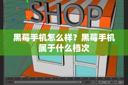 黑莓手机怎么样？黑莓手机属于什么档次-第1张图片-星选测评