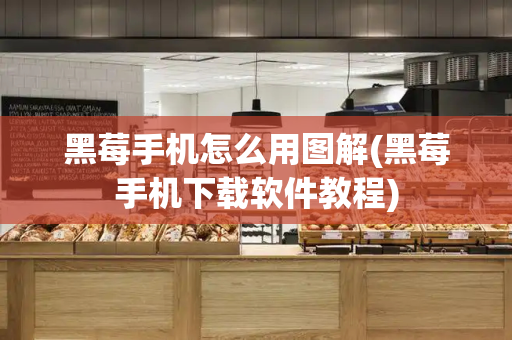 黑莓手机怎么用图解(黑莓手机下载软件教程)