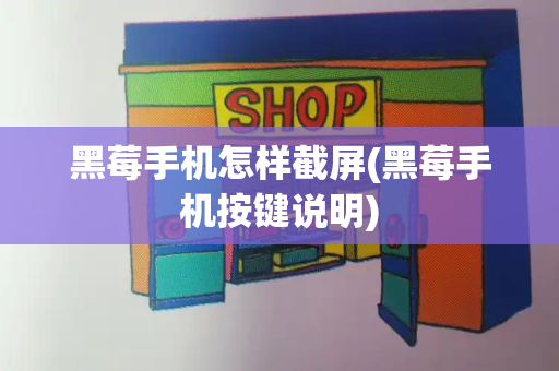 黑莓手机怎样截屏(黑莓手机按键说明)-第1张图片-星选测评