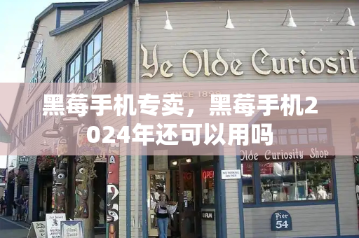 黑莓手机专卖，黑莓手机2024年还可以用吗-第1张图片-星选测评