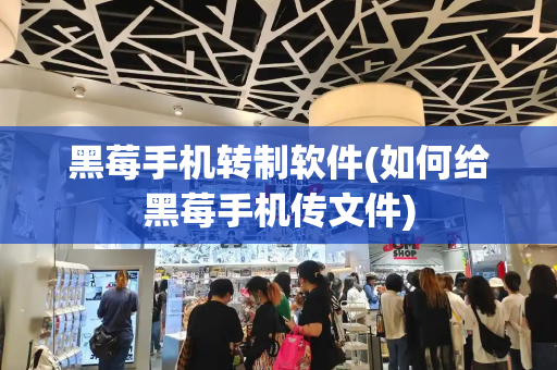 黑莓手机转制软件(如何给黑莓手机传文件)