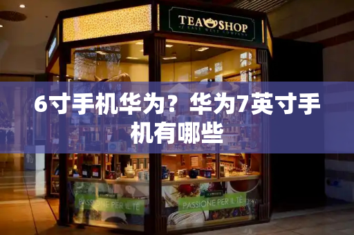 6寸手机华为？华为7英寸手机有哪些-第1张图片-星选测评