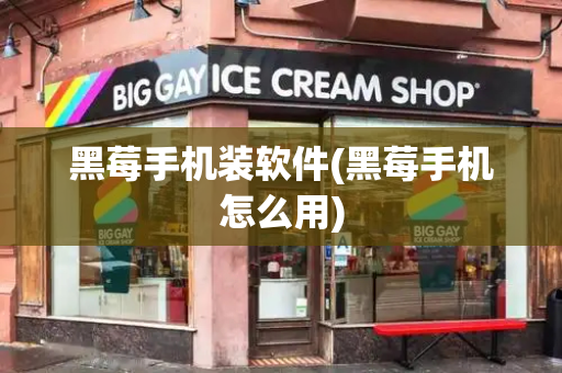 黑莓手机装软件(黑莓手机怎么用)