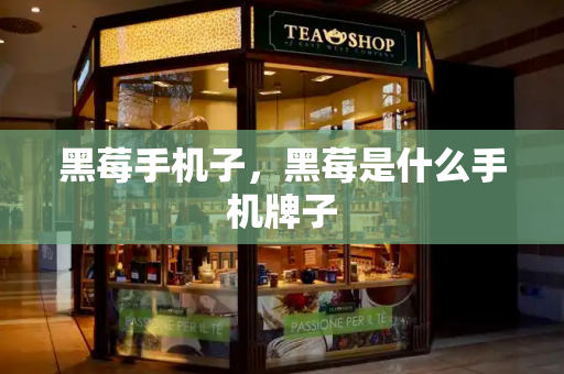 黑莓手机子，黑莓是什么手机牌子