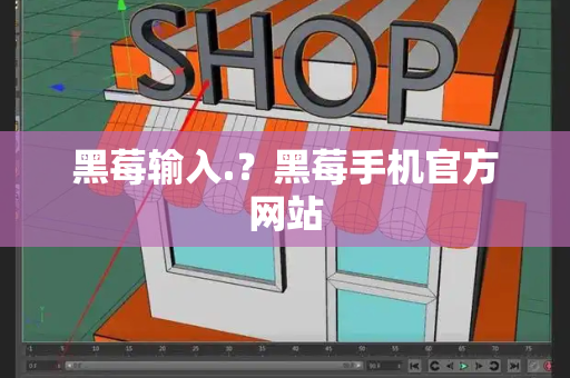 黑莓输入.？黑莓手机官方网站