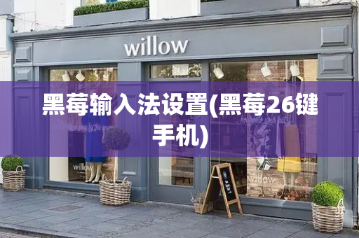 黑莓输入法设置(黑莓26键手机)-第1张图片-星选测评