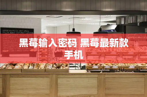 黑莓输入密码 黑莓最新款手机-第1张图片-星选测评