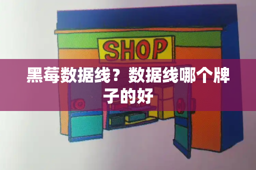黑莓数据线？数据线哪个牌子的好-第1张图片-星选测评