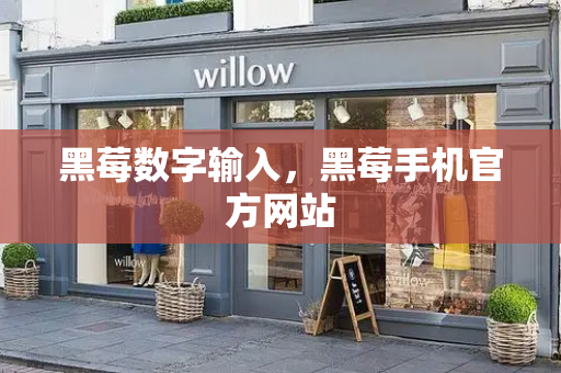 黑莓数字输入，黑莓手机官方网站-第1张图片-星选测评
