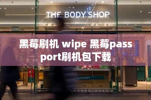 黑莓刷机 wipe 黑莓passport刷机包下载-第1张图片-星选测评