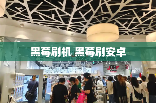 黑莓刷机 黑莓刷安卓-第1张图片-星选测评