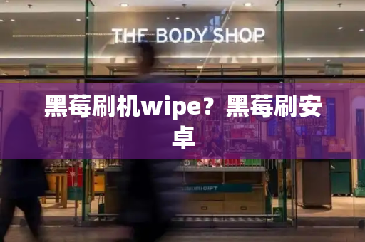 黑莓刷机wipe？黑莓刷安卓-第1张图片-星选测评