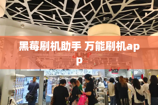 黑莓刷机助手 万能刷机app