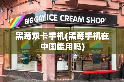 黑莓双卡手机(黑莓手机在中国能用吗)-第1张图片-星选测评