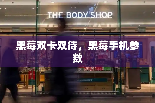 黑莓双卡双待，黑莓手机参数