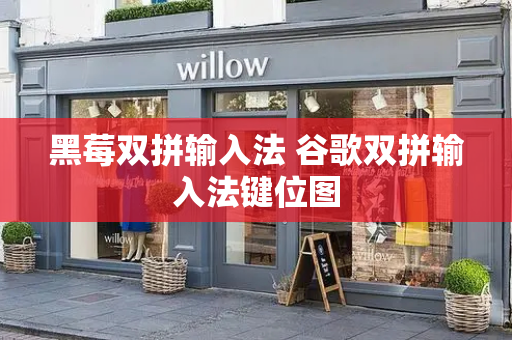 黑莓双拼输入法 谷歌双拼输入法键位图-第1张图片-星选测评