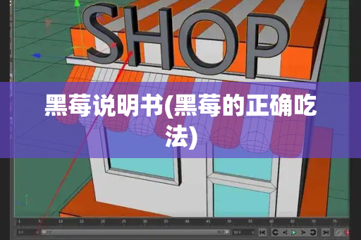 黑莓说明书(黑莓的正确吃法)
