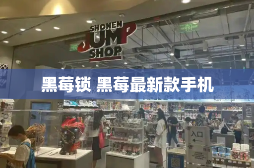 黑莓锁 黑莓最新款手机-第1张图片-星选测评