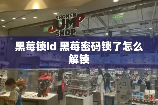 黑莓锁id 黑莓密码锁了怎么解锁